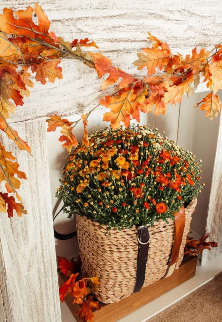 orange mum inside a basket that sits inside a mantel