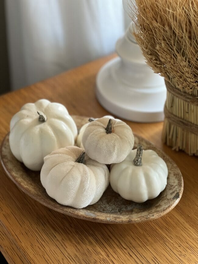 small white pumpkins on aged platter