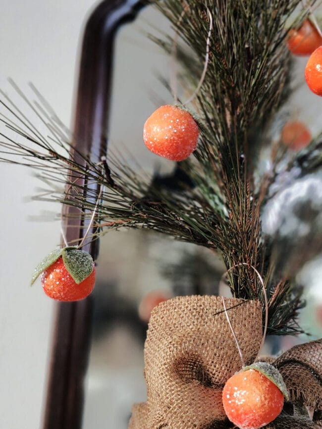 sugared oranges on a pine tree