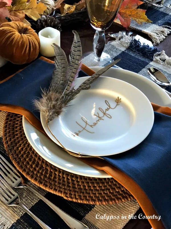 Thankful plate with feathers and blue and rust colors