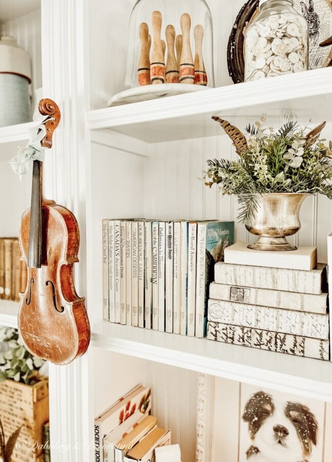 violin hanging on bookshelves
