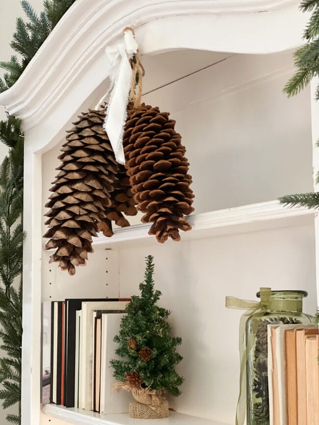 close up of large sugar cones hanging on hutch shelf