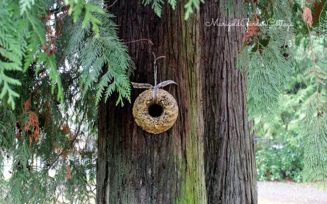 tree with birdseed wreath hanging on it