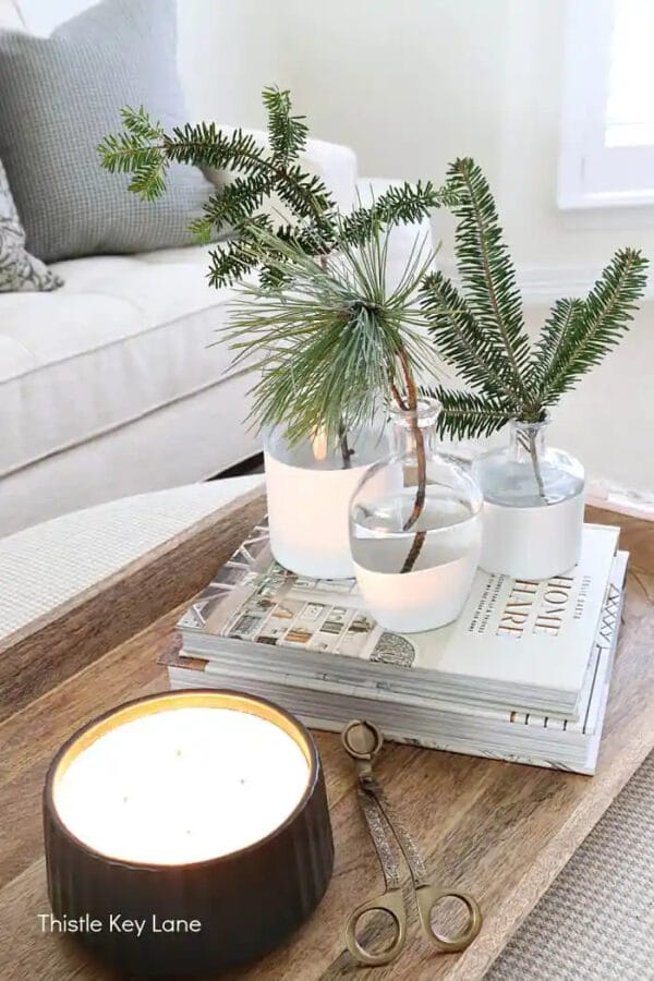 clear and white vases with fresh winter stems sitting on a stack of books on a coffee table