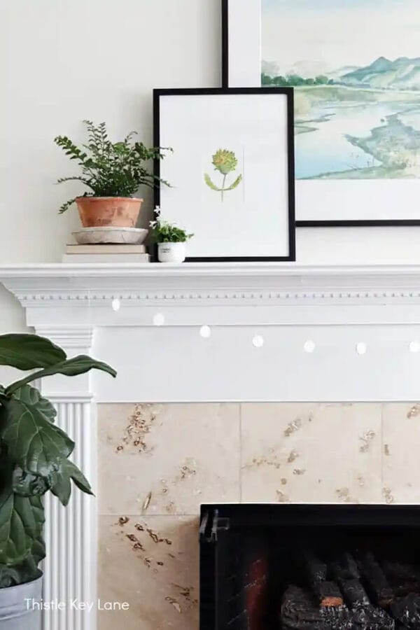 plants stacked on books, plant painting with black frame layered in front of a water color print