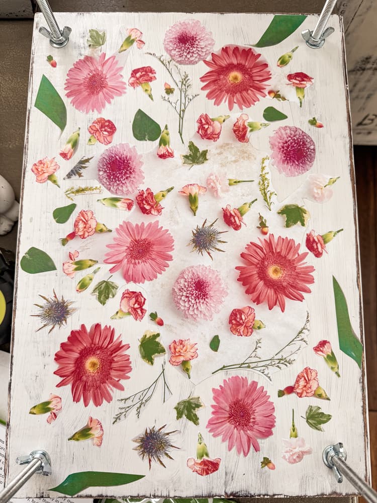 pressed pink daisies and small flowers on white board