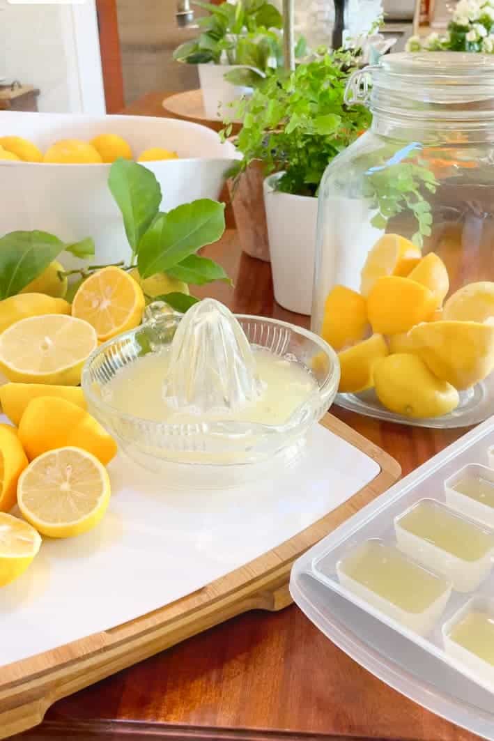 stack of lemons with juicer and ice tray