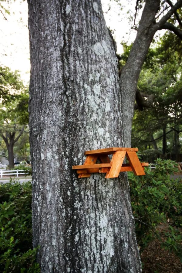 small wooden picnic table for a squirrel hanging on tree