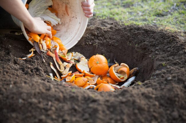 pile of dirt with orange peels being thrown in