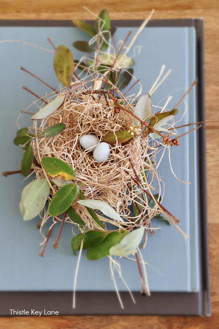 bird nest with 2 eggs sitting on a blue book