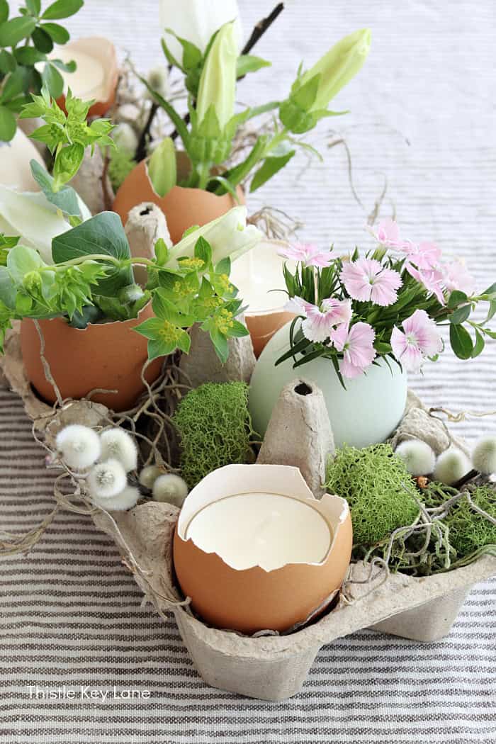 egg crate with plants and eggshells filled with candles