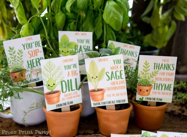 small terracotta pots with plant sayings in a seed packets