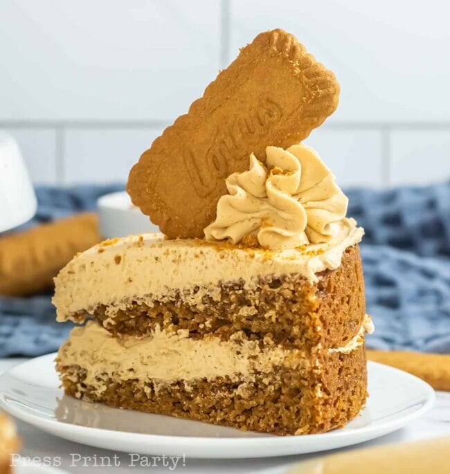 Biscoff cookie on top of a layered cake