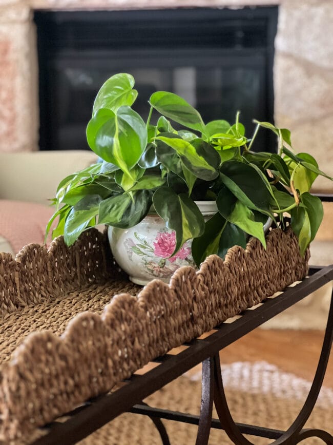 scalloped woven tray with vintage bowl and plant