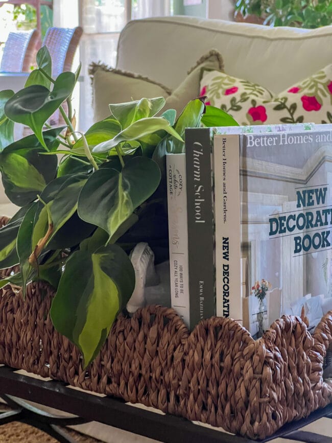 standing books with a plant sitting inside a woven tray with scallops