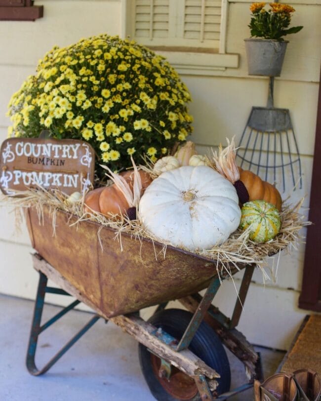 rusty wheelbarrow with a yellow mum, pumpkins and a sign tucked inside.