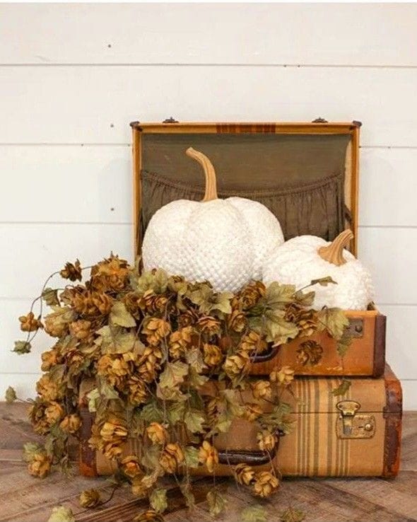 suitcases stacked on top of each other with hops hanging out and white pumpkins sitting inside.