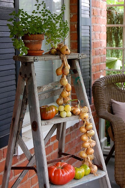 old ladder on porch with plants, tomato's and garland of garlic