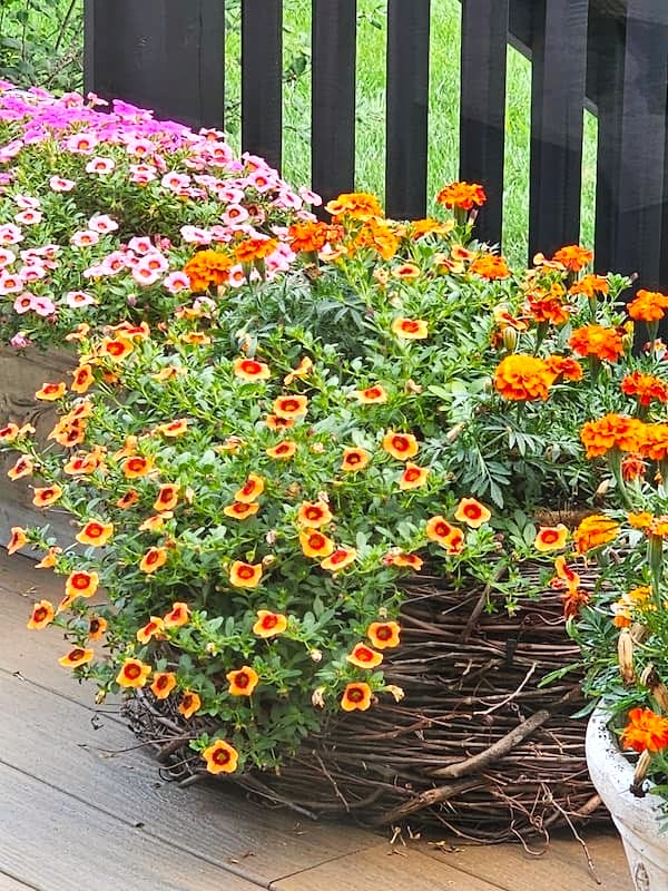 grapevine wreath basket with yellow and orange flowers sitting in front of a dark fence