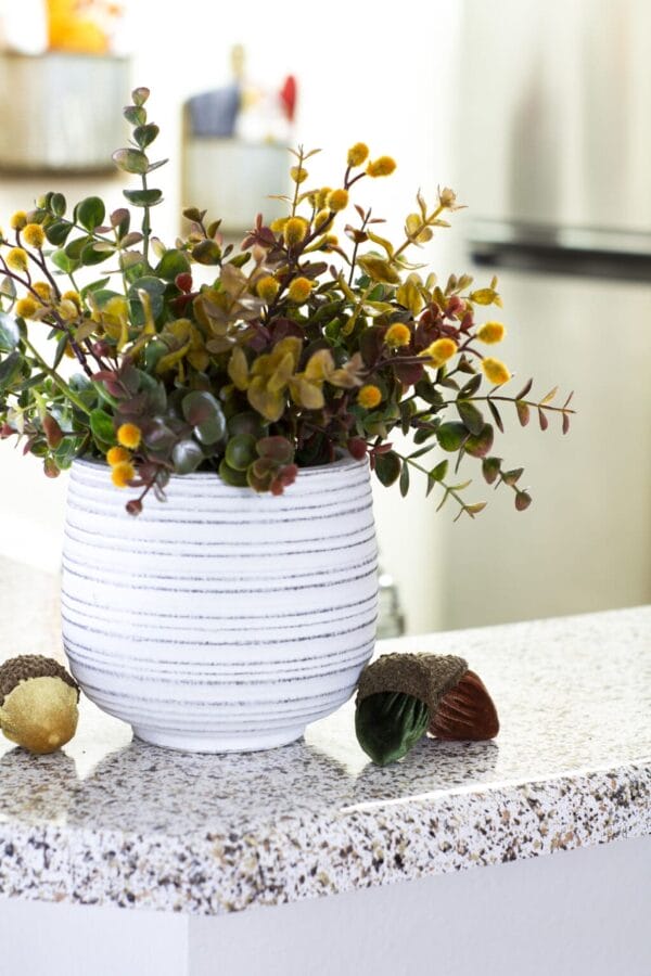 white vase with fall colored boxwood stems and tiny velvet acorns sitting on counter