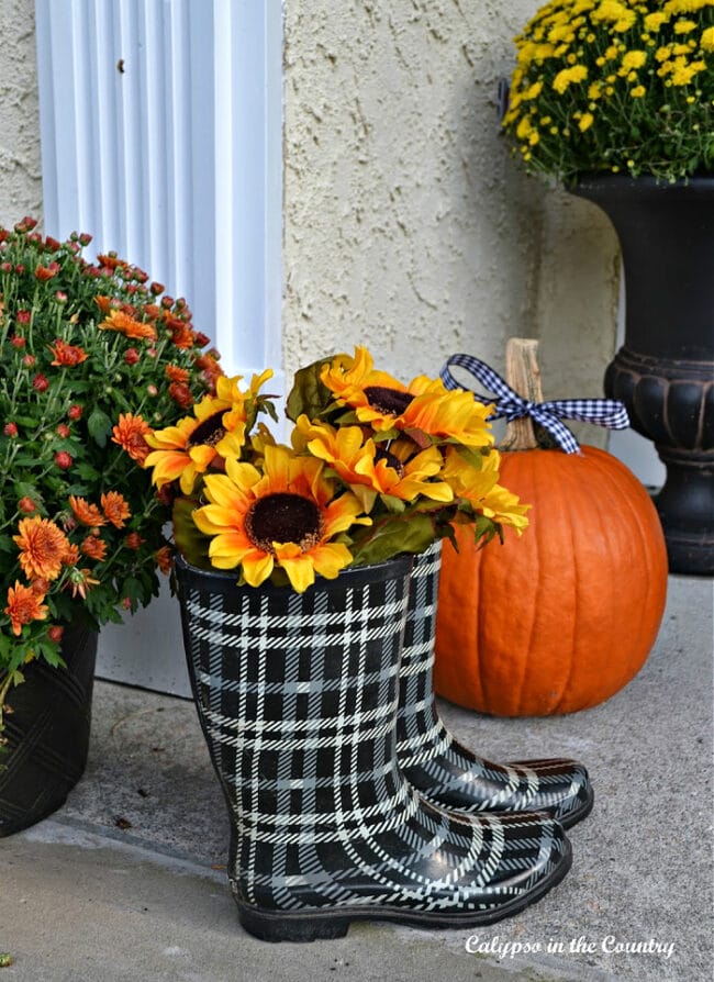 black and white plaid rain boots with sunflowers inside them and an orange pumpkin and mum in the background of the porch