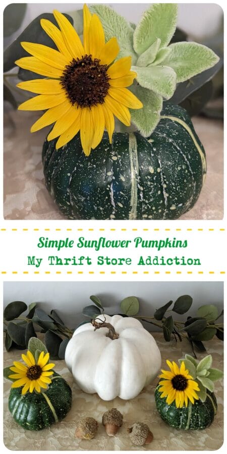 split photo of a green pumpkin and a white pumpkin