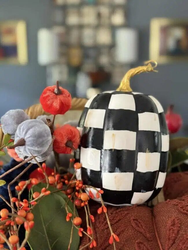 black and white checked pumpkin sith with other velvet faux pumpkins