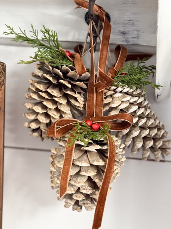 3 blached pinecones grouped together and hanging with gold velvet ribbon
