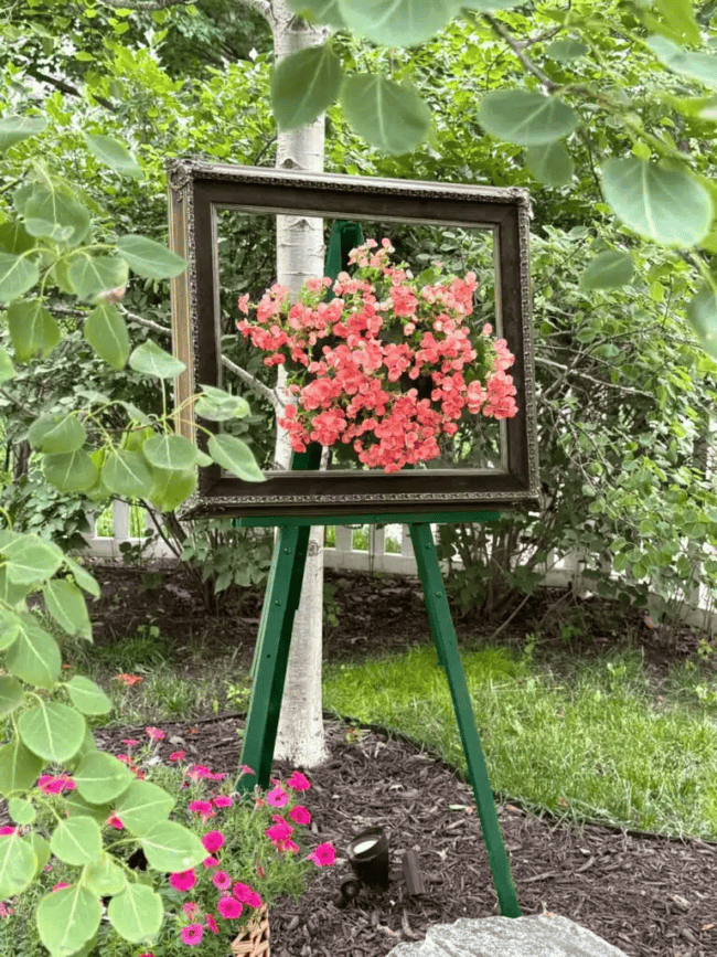 a plant framed on an easel in a garden