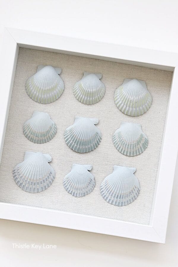 white frame with 9 shells inside as artwork