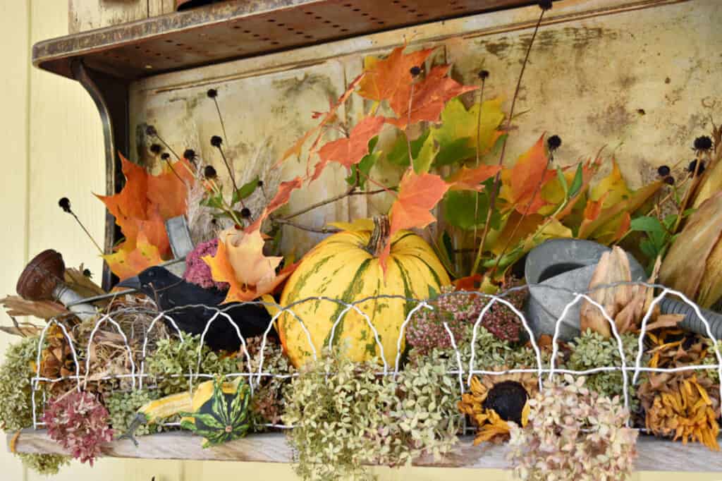 group of pumpkins, fall leaves, dried hydrangeas sitting on an old metal shelf with small fencing in the front