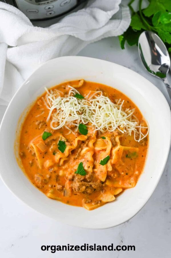 bowl of lasagna soup